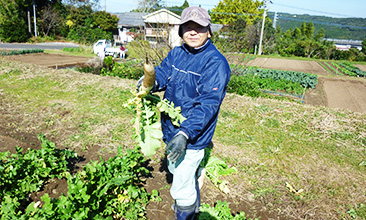 しんせい班の野菜