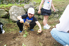 放課後等デイサービス ふるさとの森 芋掘り